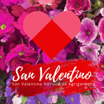 San Valentinofiorisce da Agrigarden