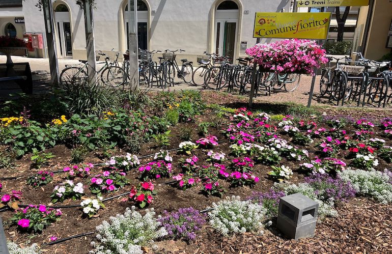 Bellaria Igea Marina si trasforma in città fiorita con VerdeComune