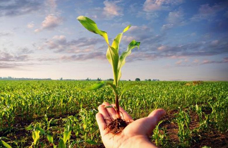 Dal 9 gennaio bando per diversificazione agricola in Toscana