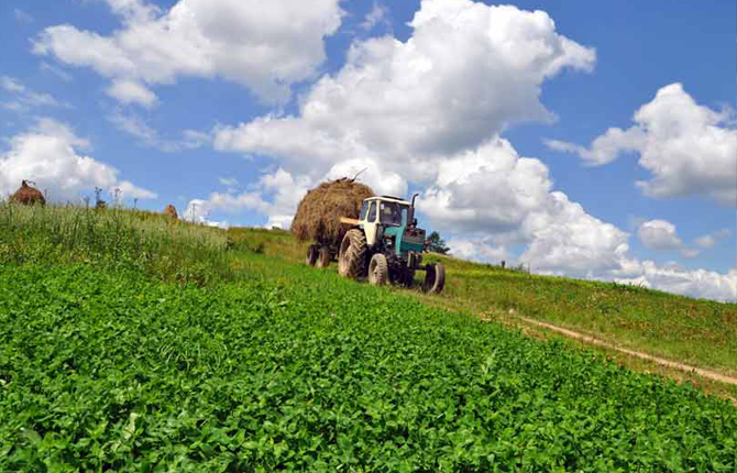 floraviva, agricoltura, cia