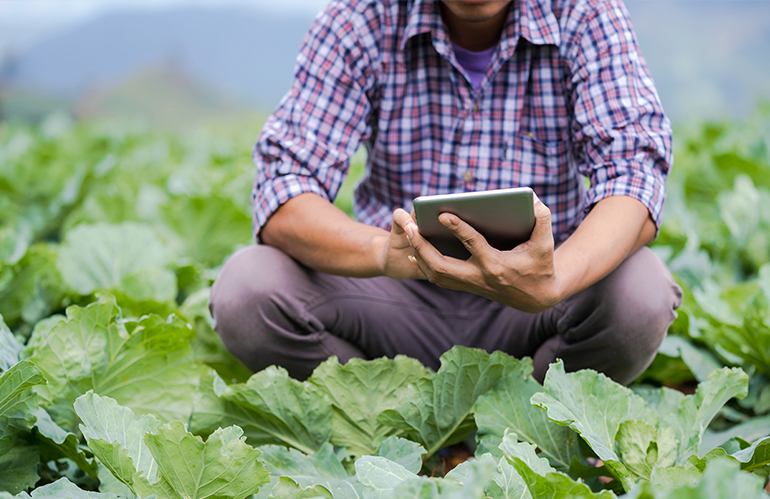 All’Università di Pisa il corso AGRITECH – Agricoltura digitale per lo sviluppo sostenibile