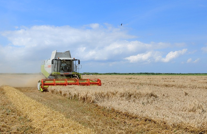 agricoltura italiana