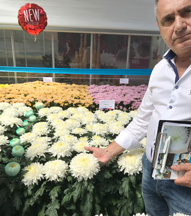 giuntoli, deliflor, floraviva