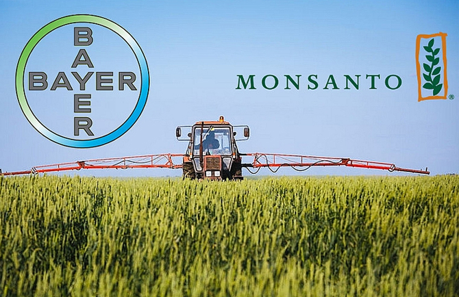 bayermonsanto