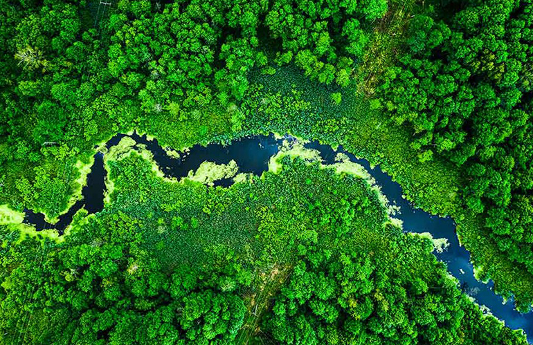 Legge europea sul ripristino della natura: nuovo stop al testo nell’Europarlamento