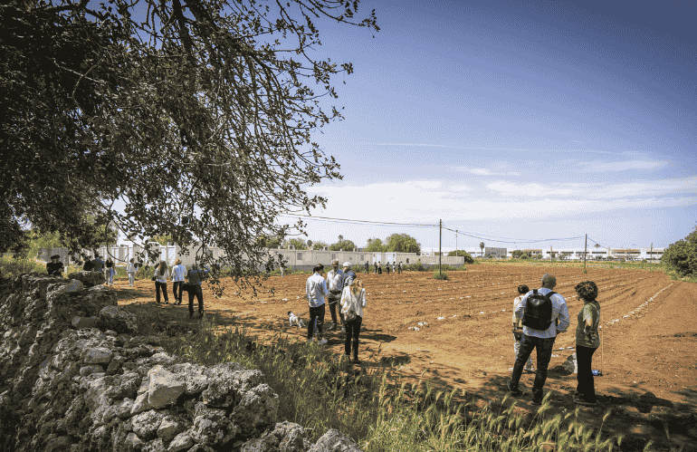 UN BOSCO PER NARDÒ: 4.000 ALBERI PER RIGENERARE AMBIENTE E COMUNITÀ