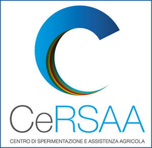 cersaa