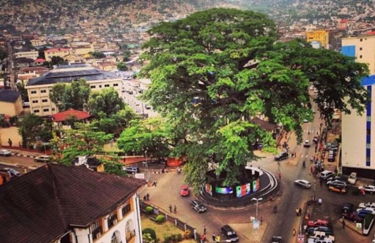 Un albero per...la Sierra Leone o la libertà?