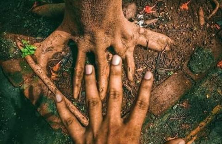 Confronto visivo tra una mano umana e le radici di un albero sul terreno