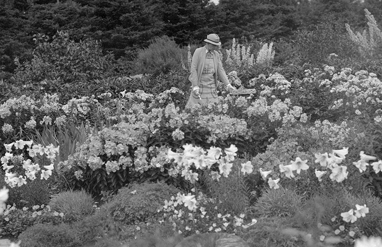 Il fascino indelebile di Elsie Reford e i suoi Giardini di Métis