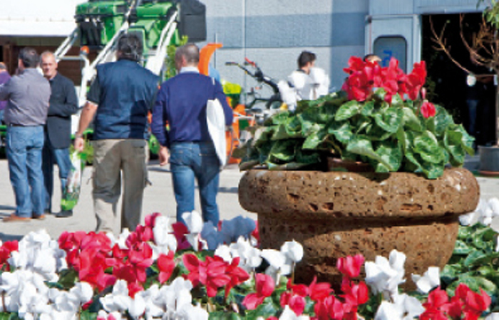 flormart 2014