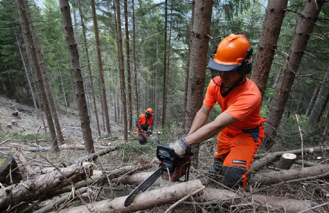 sciopero forestali