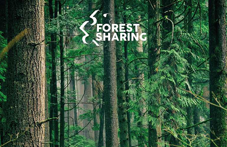 ForestSharing: la condivisione che valorizza il patrimonio boschivo italiano