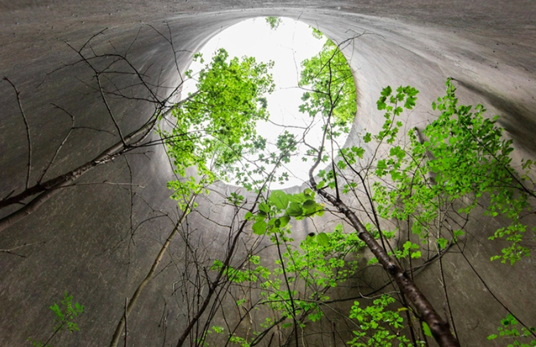 La forza della natura: quando la vegetazione riprende il sopravvento