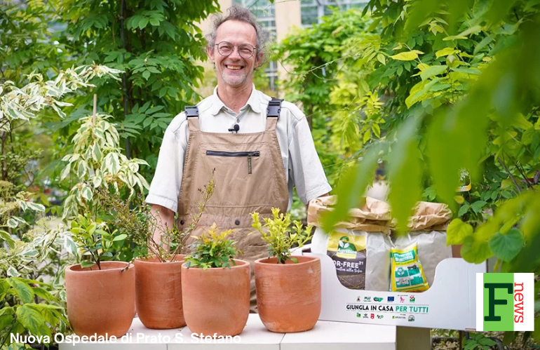 Promoplant con piante personalizzate e soluzioni verdi per eventi e iniziative promozionali