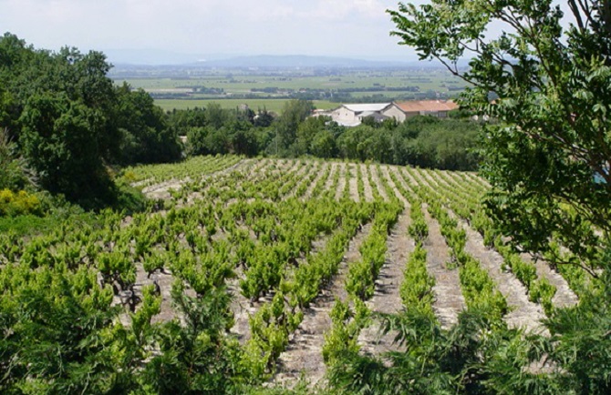 liguria, agricoltura, agrofarmaci, floraviva