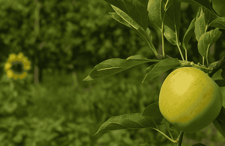 luglio: appunti utlili