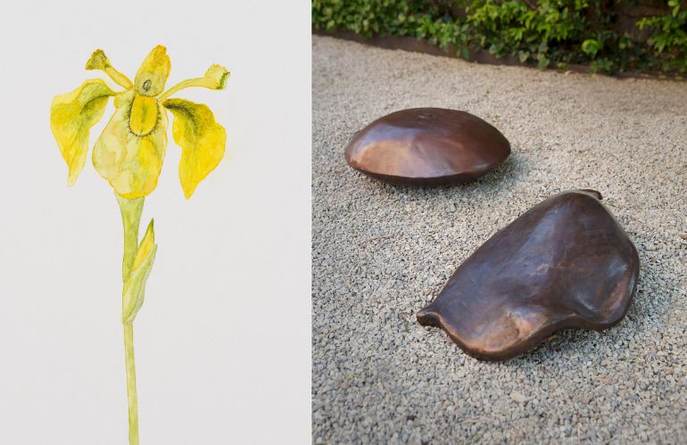 Composizione con fiore giallo e pietre naturali, opera che riflette sulle relazioni tra natura e cultura