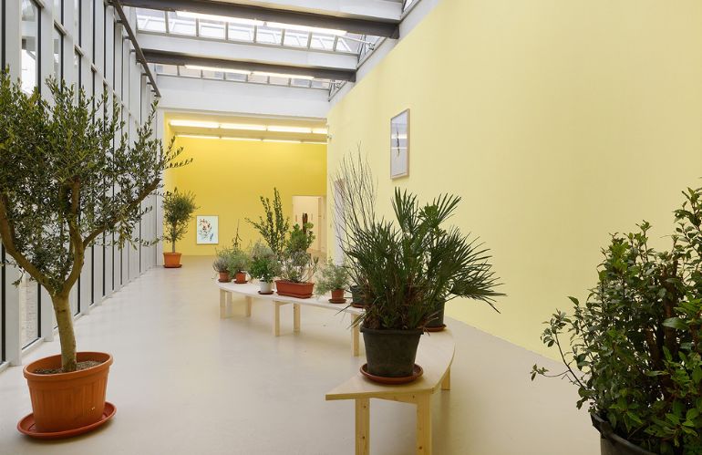 Piante ornamentali in vaso disposte su panche in spazio espositivo, dialogo tra botanica urbana e arte site-specific