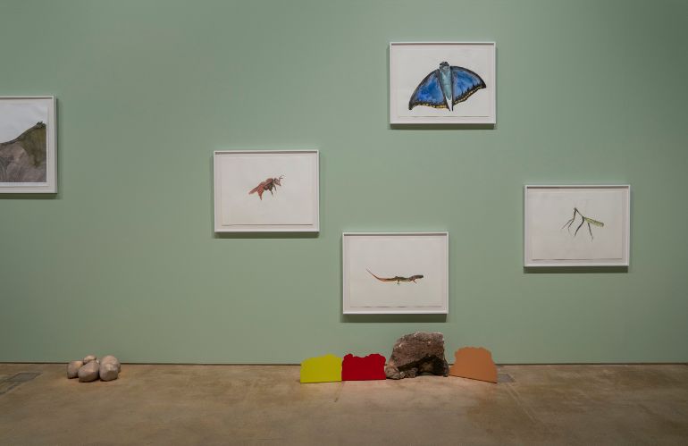 Fotografie naturalistiche e cartografiche in mostra, mappa urbana e testimonianze visive del paesaggio