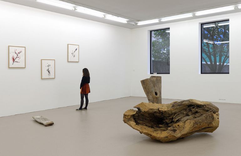 Tronco scolpito e opere botaniche su carta, esposizione che fonde natura, identità e arte contemporanea