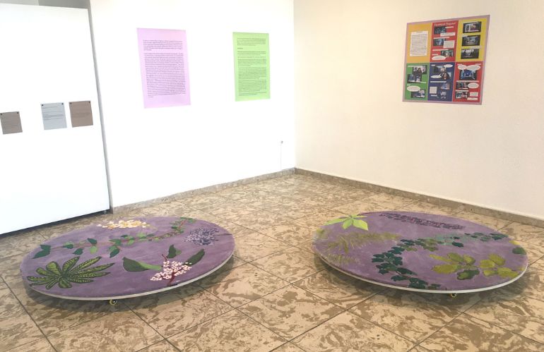 Tavole rotonde con illustrazioni vegetali su sfondo viola, installazione partecipativa sull’uso delle piante nella cultura