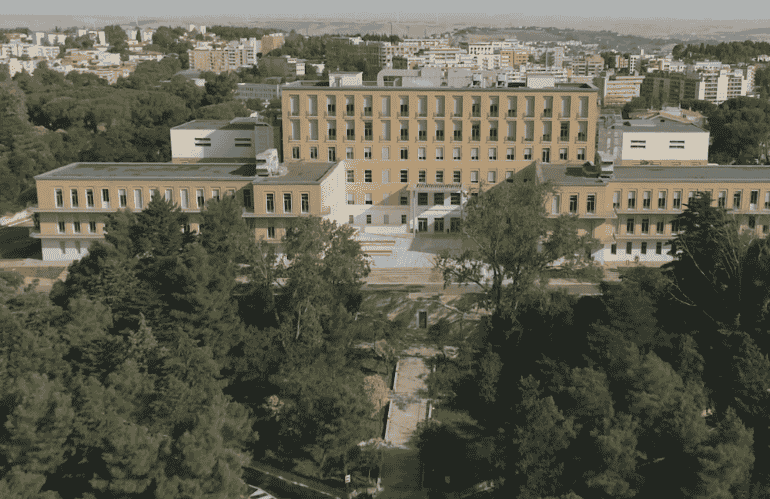 matera: forr.tree nursery
