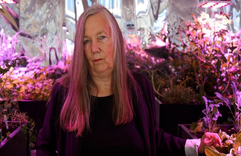 Meg Webster: la scultura al servizio dell'ambiente