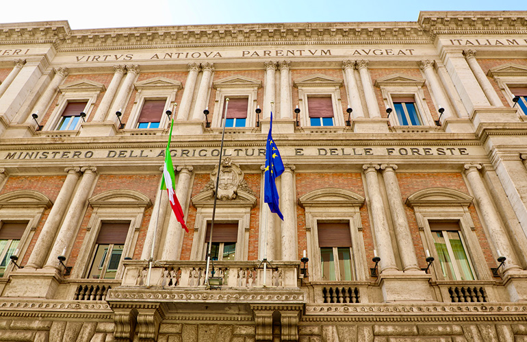 Regolamento sulla deforestazione: UE approva rinvio richiesto dall'Italia