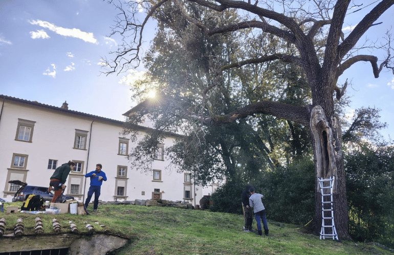 MONITORAGGIO SMART DEGLI ALBERI MONUMENTALI A VILLA LA MAGIA