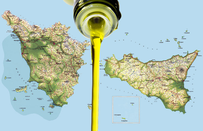 La Filiera dell'Olio d'Oliva: Toscana e Puglia in Crescita, Prezzi Record sul Mercato Internazionale