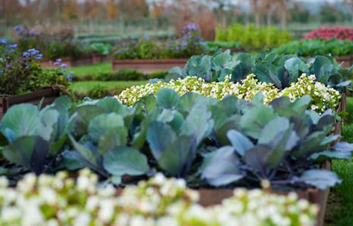 ortofrutta, floraviva, ismea