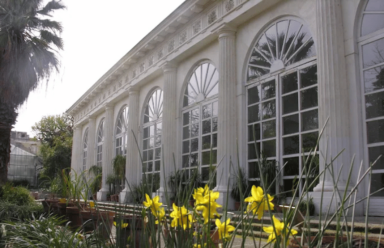orto botanico di napoli 1