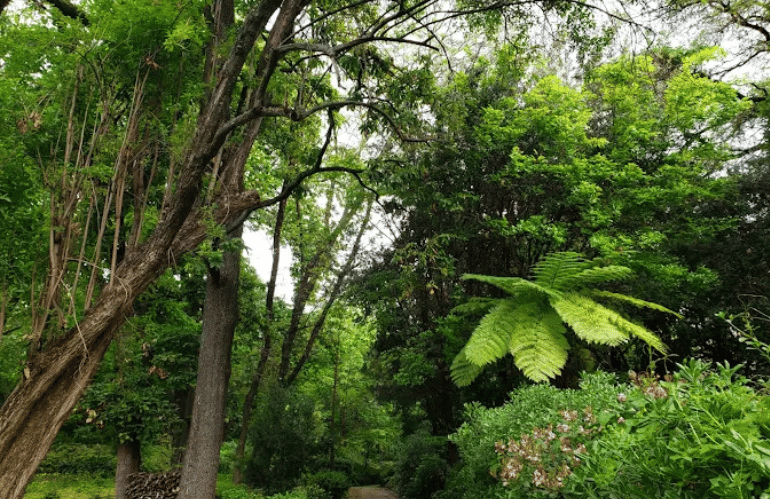 orto botanico di napoli 2