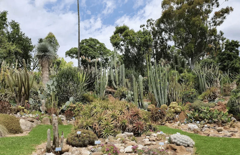 orto botanico di napoli 3