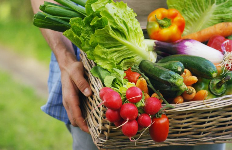 Orto e Giardino a luglio: cosa fare!