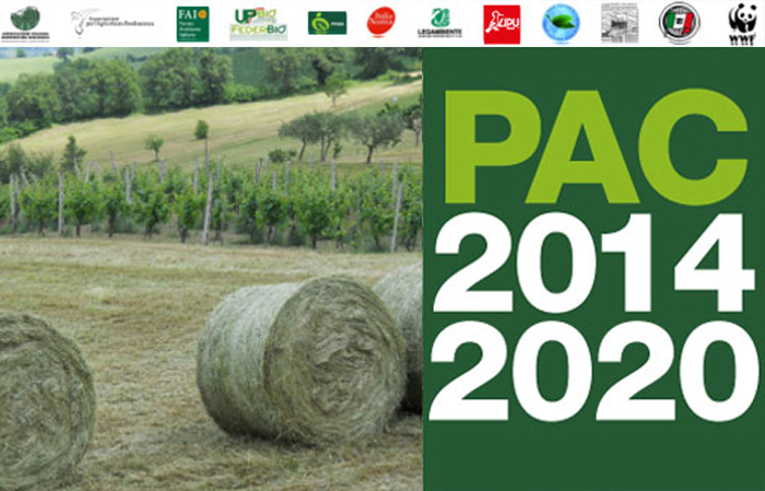 pac 2014 2020