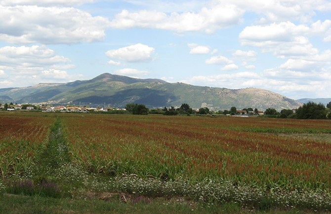 ParcodellaPiana