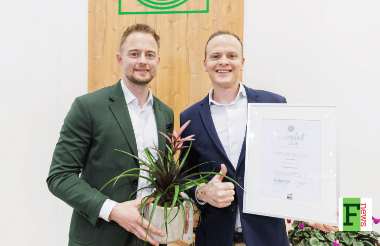 Ficus carica Fignomenal