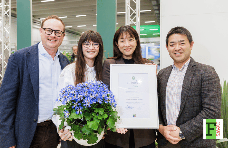 Rhododendron hybrid Grazeasy Purple