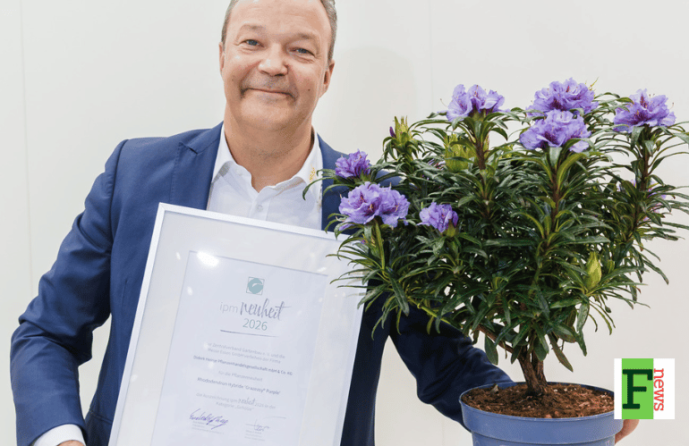 Clematis AMAZING TOKYO