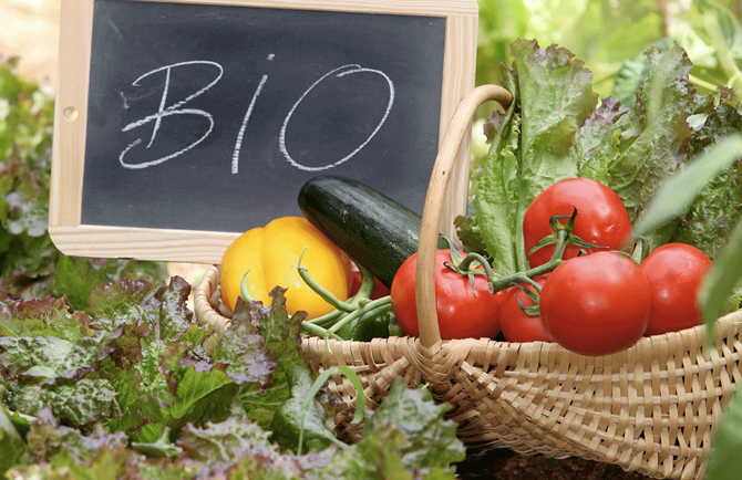 floraviva, prodotti biologici, bio