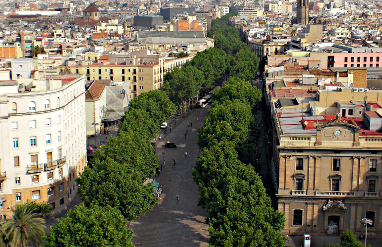 UN ALBERO PER... SOSTITUIRE I PLATANI DELLE RAMBLAS