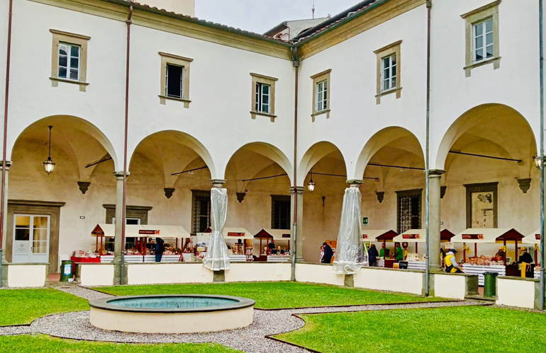 Il Tesoro di Lucca: Un viaggio sensoriale nell'olio EVO e abbinamenti insoliti