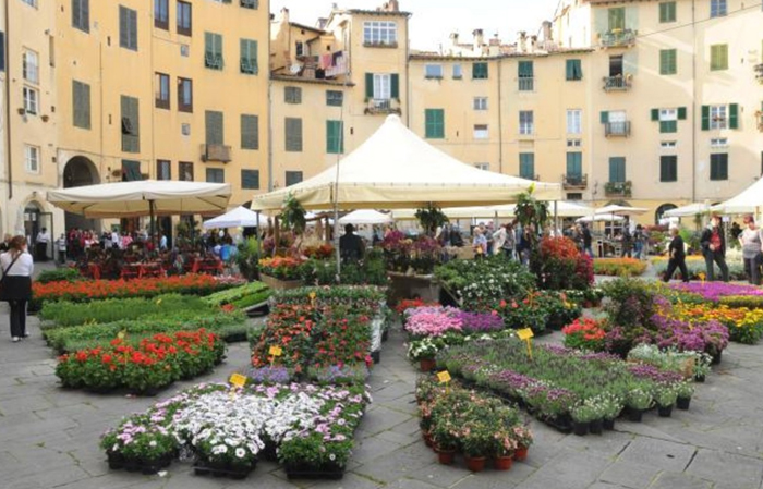 fiera di santa zita lucca