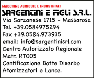 sargentini