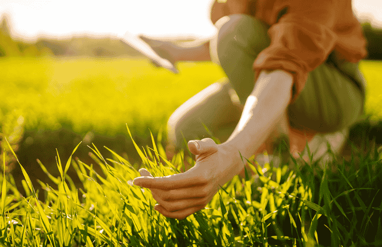 SERVIZIO CIVILE AGRICOLO E AMBIENTALE: 4.600 DOMANDE PER 1.057 POSTI