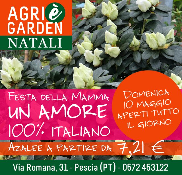 sosp agri mamma 20