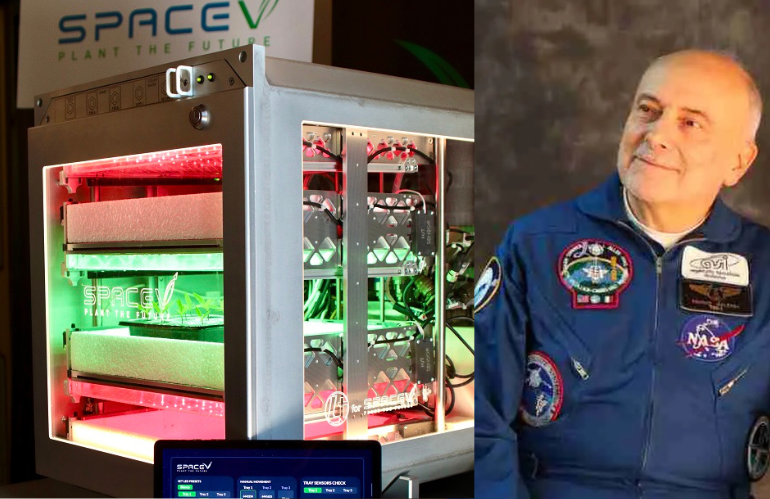 space v malerba