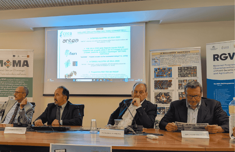 crea of pescia